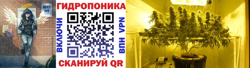 Виды наркоты Новое Девяткино Бошки Шишки  КОКАИН  A-PVP  Гашиш 