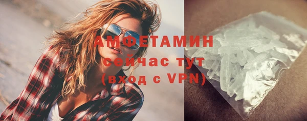 твердый Абаза